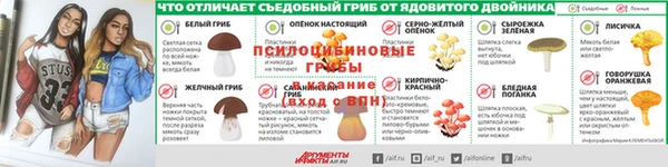 ГАЛЛЮЦИНОГЕННЫЕ ГРИБЫ Балабаново