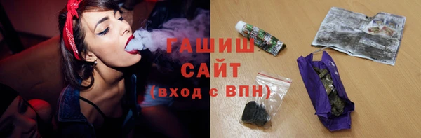 индика Сосновый Бор