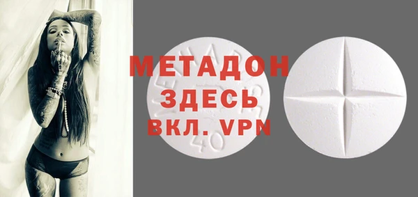 индика Сосновый Бор