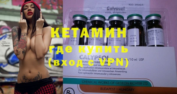 индика Сосновый Бор