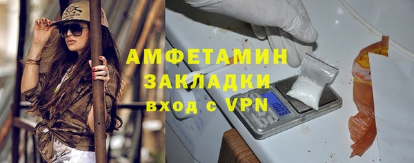 индика Сосновый Бор