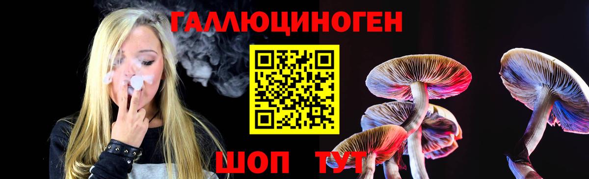 Электрогорск  Псилоцибиновые грибы мицелий  Вход с VPN  Галлюциногенные грибы мухоморы 