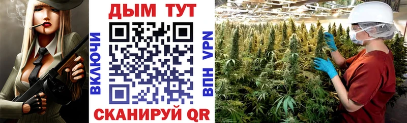 наркота  Электрогорск  Бошки Шишки SATIVA & INDICA 